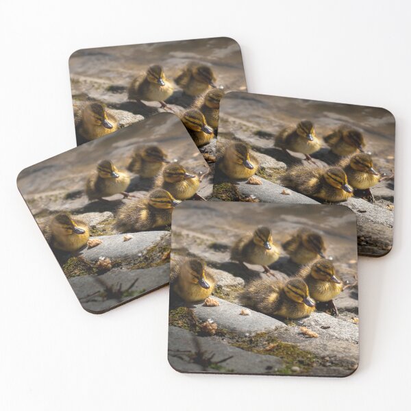 Item preview, Ducklings At Leazes Park Lake designed and sold by axp7884.