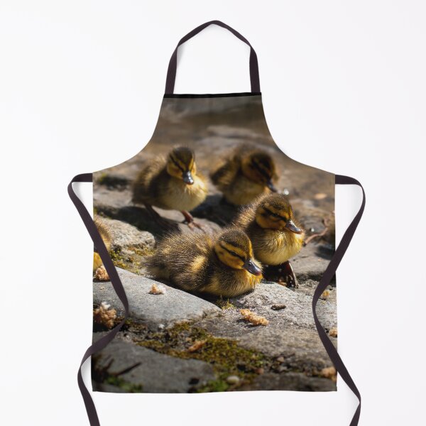 Item preview, Ducklings At Leazes Park Lake designed and sold by axp7884.