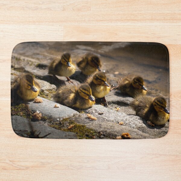 Item preview, Ducklings At Leazes Park Lake designed and sold by axp7884.