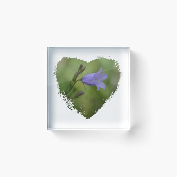 Item preview, American Harebell designed and sold by Whisperingpeaks.