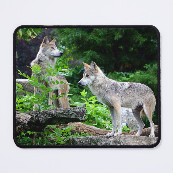 Item preview, Wolves designed and sold by Lauren Galanty.