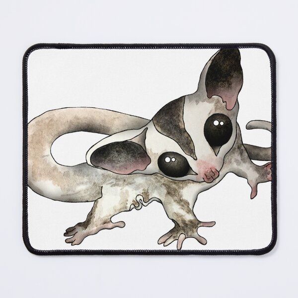 Item preview, Cutest Baby Sugar Glider. designed and sold by kamkam19.