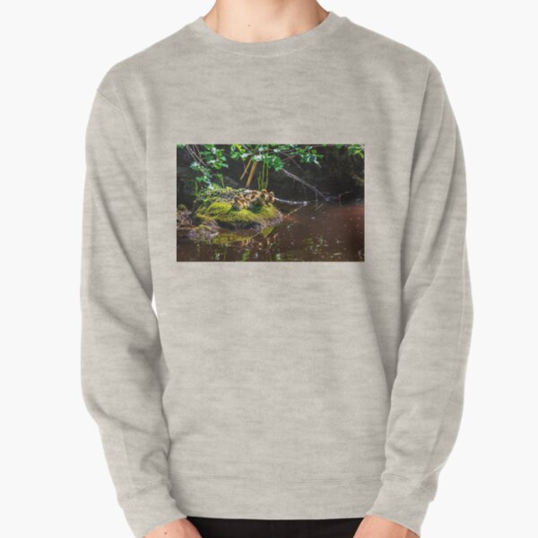 Mallard ducklings Pullover Sweatshirt