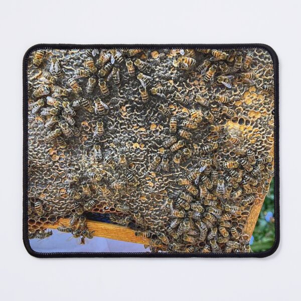 Item preview, Bee u tiful cluster designed and sold by MiddleJourney.