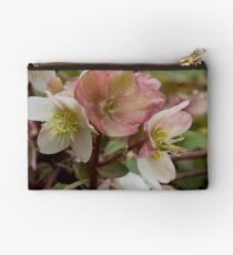 White and Pink Helleborus Flowers Studio Pouch