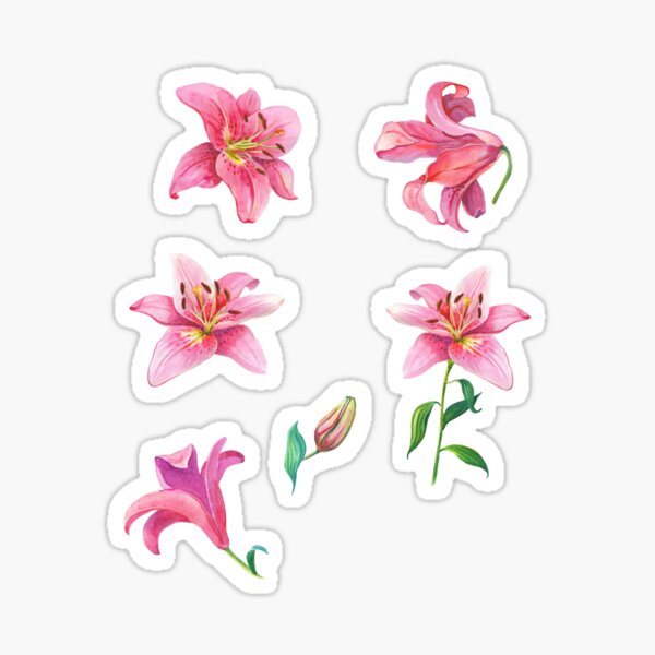 Vista previa del artículo con la obra «Paquete de pegatinas de flores de lirio Stargazer rosa», diseñado y vendido por MerWishes.