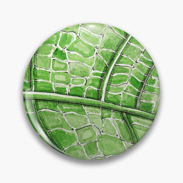 Item preview, Leaf detail, Veins and Cells on the underside, Nature Art, Ink and Watercolor designed and sold by HBBArtShop.