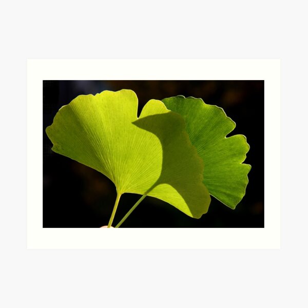 green pair Art Print