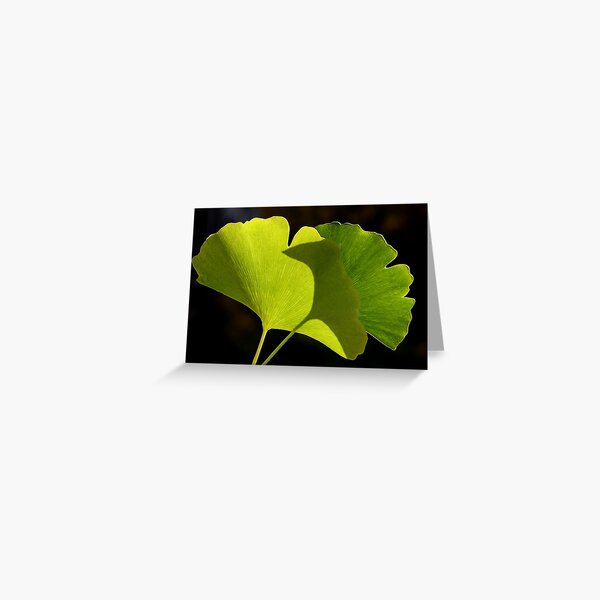 green pair Greeting Card