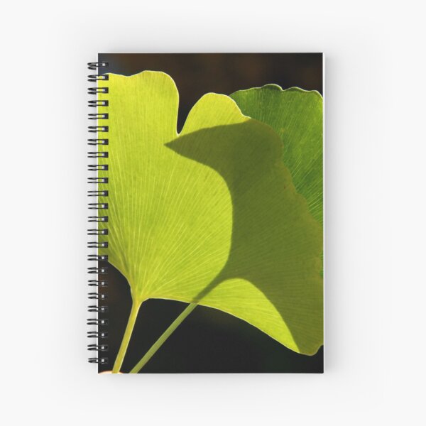 green pair Spiral Notebook