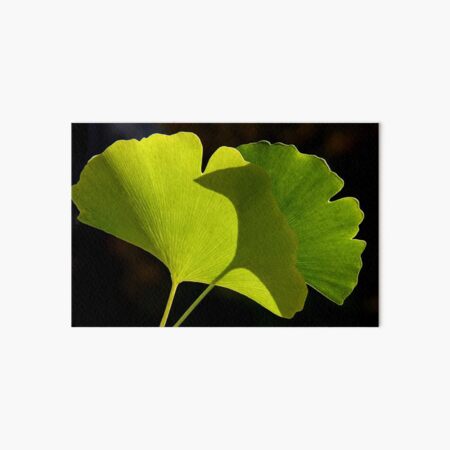 green pair Art Board Print