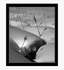 Snow Scene Photographic Print