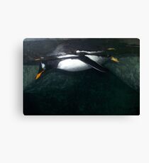 under water Canvas Print