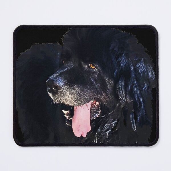 Item preview, Cool Newfoundland Dog designed and sold by Christine Mullis.