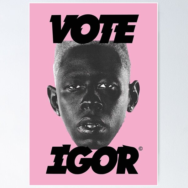 Radioisld Tyler Poster Igor The Creator Music Album Rapper Canvas Poster  12x18inch Unframed