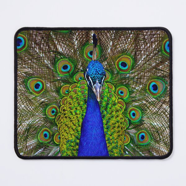 Item preview, Peacock designed and sold by Lauren Galanty.