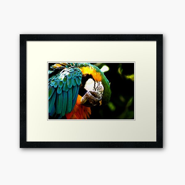 Gypsy Framed Art Print