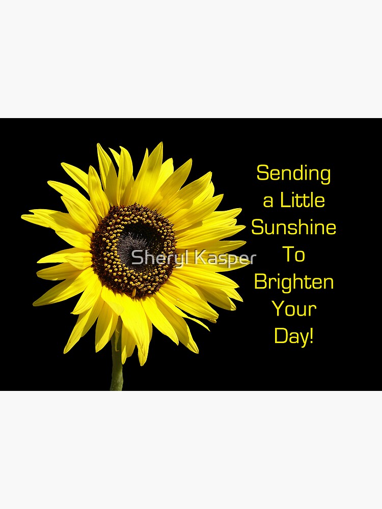 Sending You Sunshine Postcard By Momentintime Redbubble