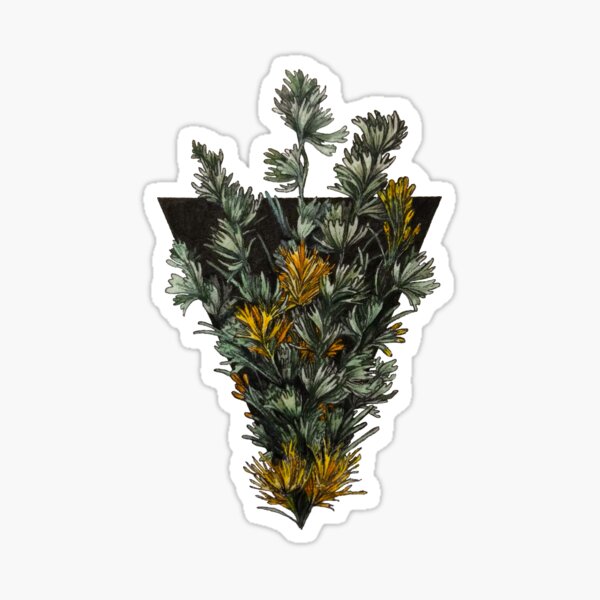 Aperçu de l'œuvre Sauge et Rabbitbrush créée et vendue par PirateGirl28.
