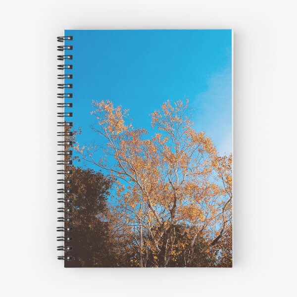 Item preview, Orange & Brown Fall Trees designed and sold by RoseyElisabeth.