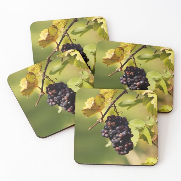 Item preview, Red grapes in a vineyard designed and sold by Michaelerch.
