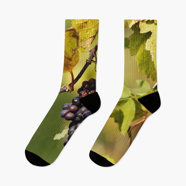 Item preview, Red grapes in a vineyard designed and sold by Michaelerch.