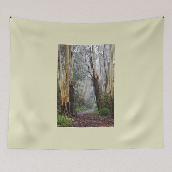 Item preview, Looking Through the Portal - Mt Wilson NSW Australia designed and sold by Bev Woodman.