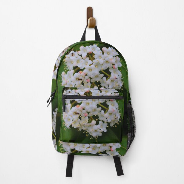 Item preview, Viburnum Tinus designed and sold by DesignMore21.