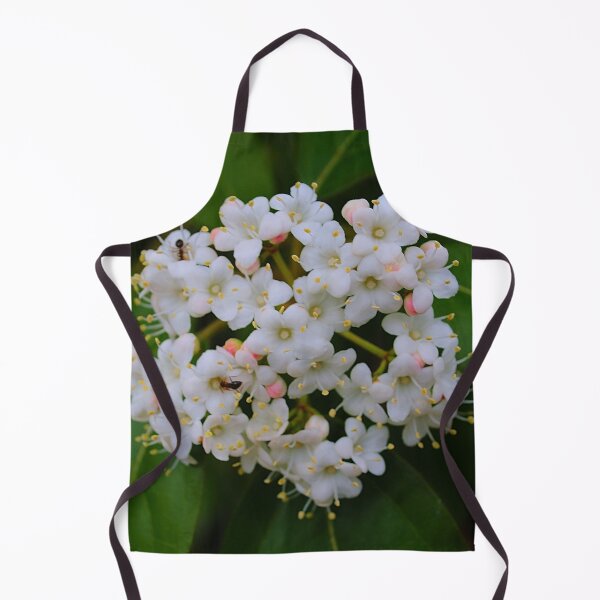 Item preview, Viburnum Tinus designed and sold by DesignMore21.