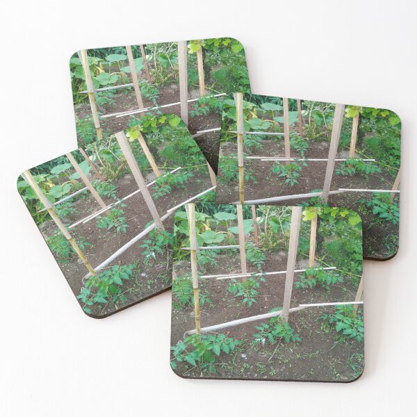 Item preview, Tomato plants designed and sold by Gaspar Avila.