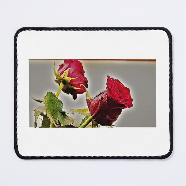 Item preview, The statement ... designed and sold by ART22.