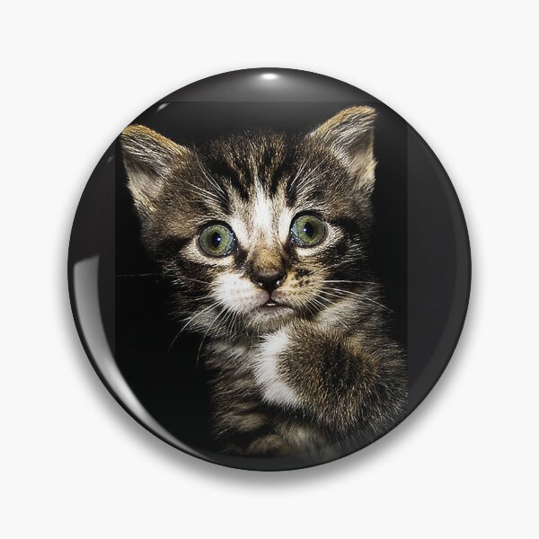 Item preview, The "Who me?" Kitten designed and sold by RocFashions.
