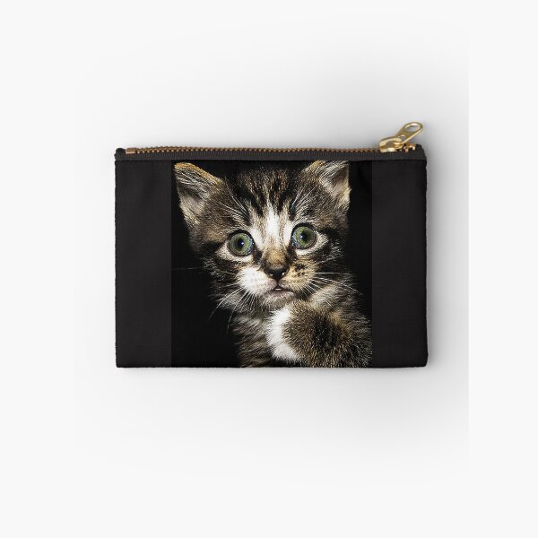 Item preview, The "Who me?" Kitten designed and sold by RocFashions.