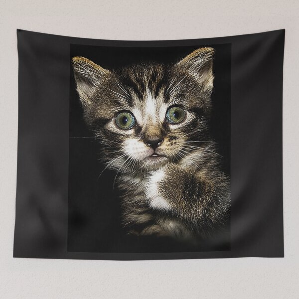 Item preview, The "Who me?" Kitten designed and sold by RocFashions.