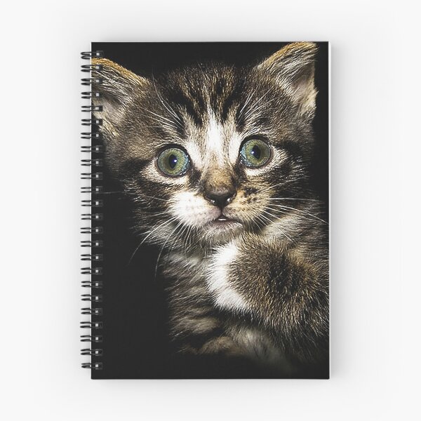Item preview, The "Who me?" Kitten designed and sold by RocFashions.