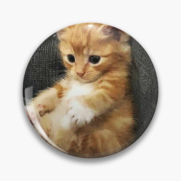 Item preview, cute Kitten is so laid back without a care in the world designed and sold by RocFashions.