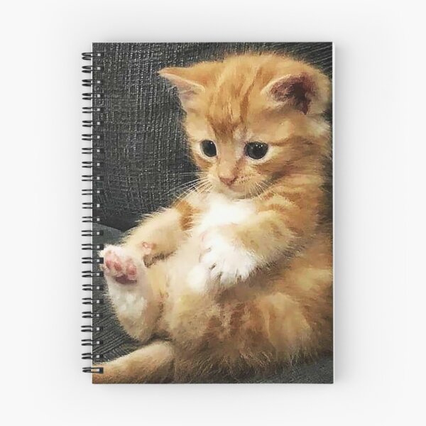 Item preview, cute Kitten is so laid back without a care in the world designed and sold by RocFashions.