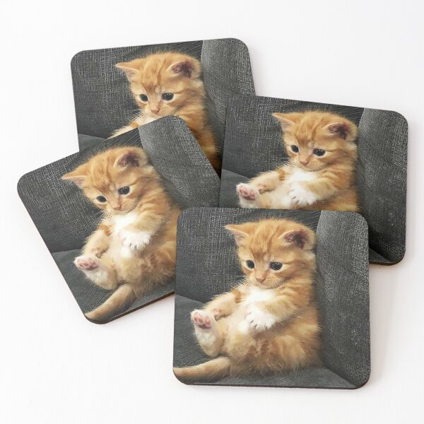 Item preview, cute Kitten is so laid back without a care in the world designed and sold by RocFashions.