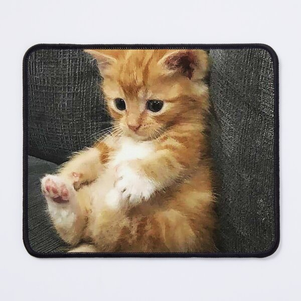 Item preview, cute Kitten is so laid back without a care in the world designed and sold by RocFashions.