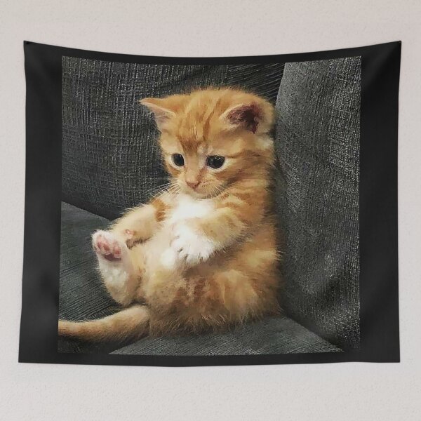 Item preview, cute Kitten is so laid back without a care in the world designed and sold by RocFashions.
