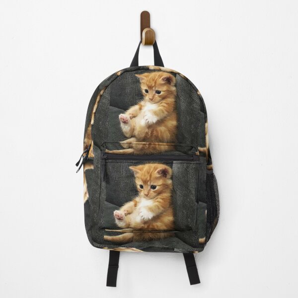 Item preview, cute Kitten is so laid back without a care in the world designed and sold by RocFashions.