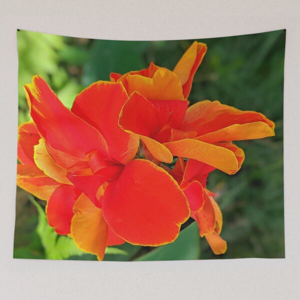 Item preview, Rosemond Cole Canna designed and sold by Shapes-Mania.