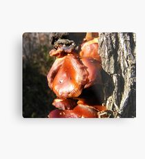 Sidekick Metal Print