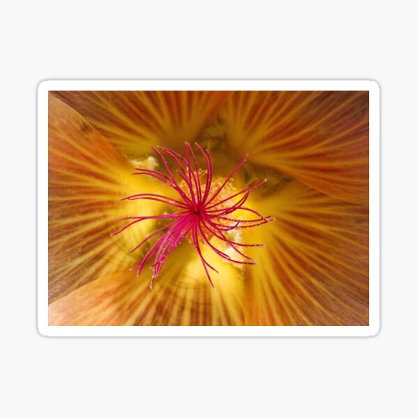 Item preview, Inner Beauty designed and sold by SWEEPER.