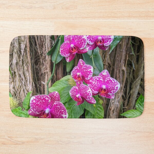 Item preview, Phalaenopsis Leopard Prince Sogo designed and sold by Shapes-Mania.