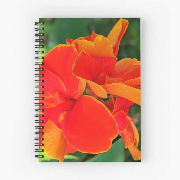 Item preview, Rosemond Cole Canna designed and sold by Shapes-Mania.