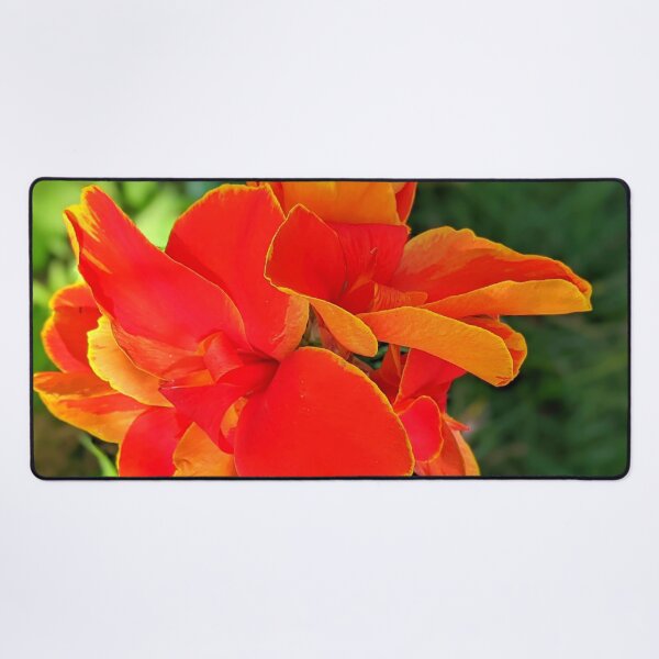Item preview, Rosemond Cole Canna designed and sold by Shapes-Mania.