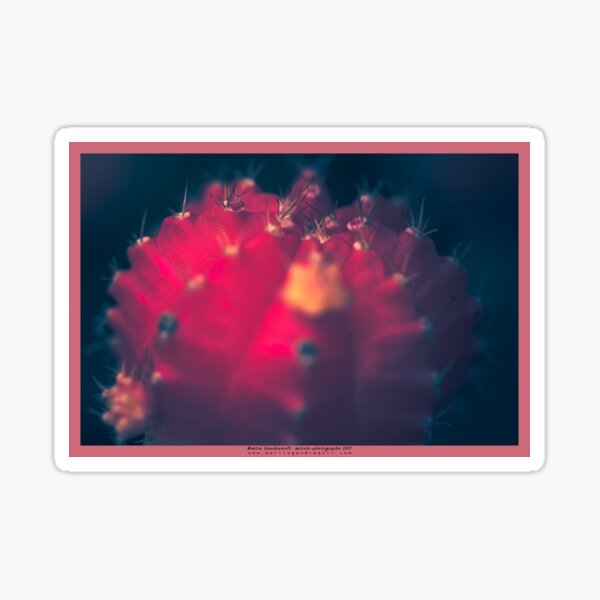 Fleur du désert Sticker