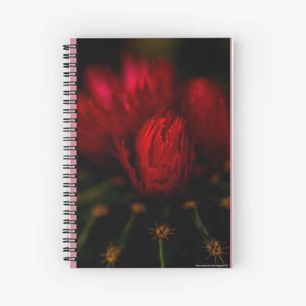 Rêverie Cahier à spirale
