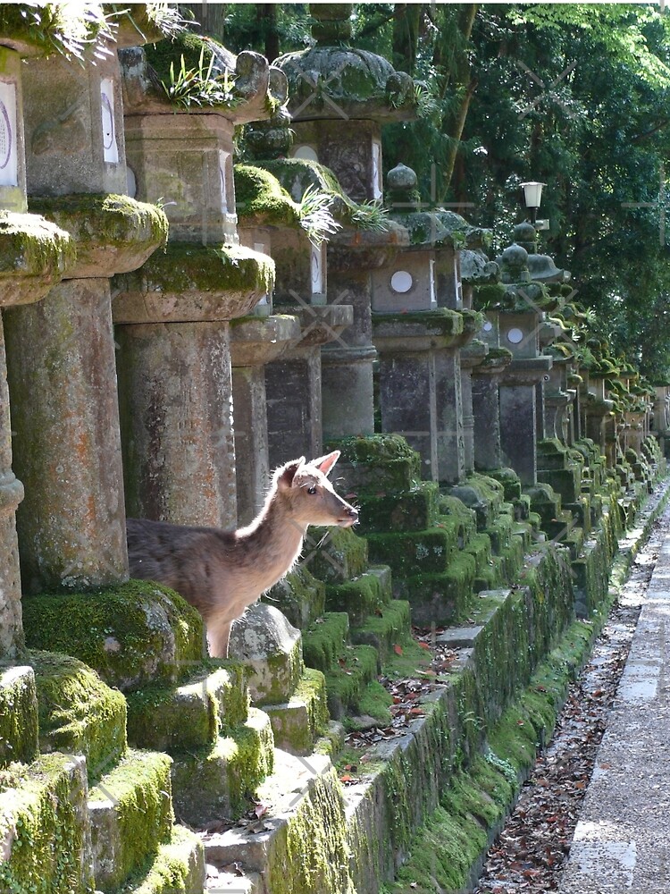 « Biche Temple Nara » par Timena
